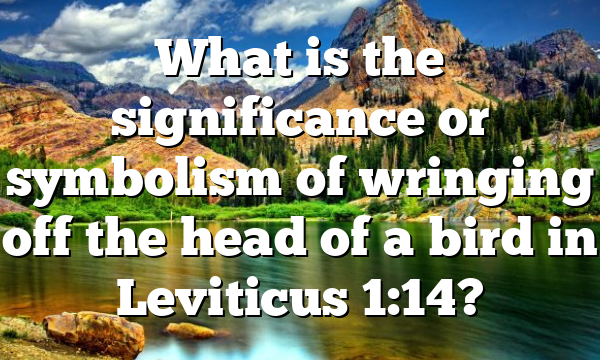 What is the significance or symbolism of wringing off the head of a bird in Leviticus 1:14?