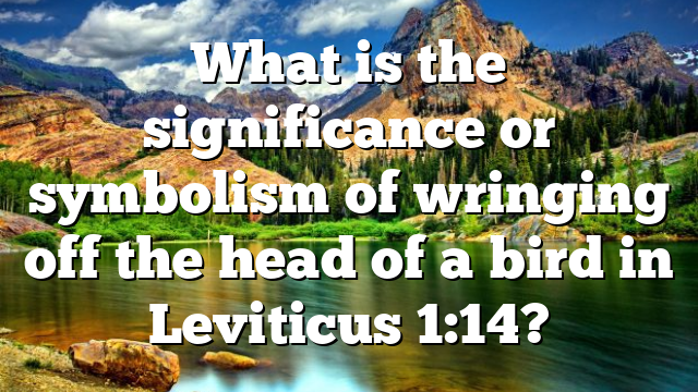 What is the significance or symbolism of wringing off the head of a bird in Leviticus 1:14?