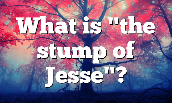 What is "the stump of Jesse"?