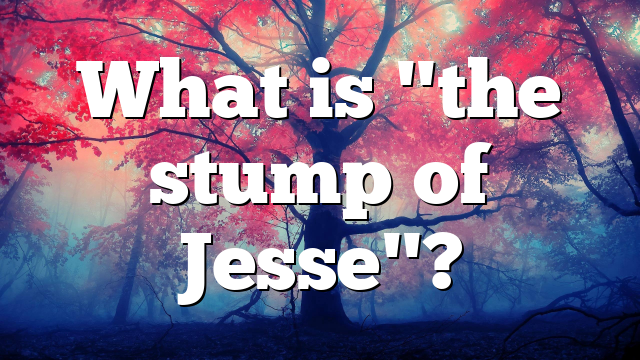 What is "the stump of Jesse"?