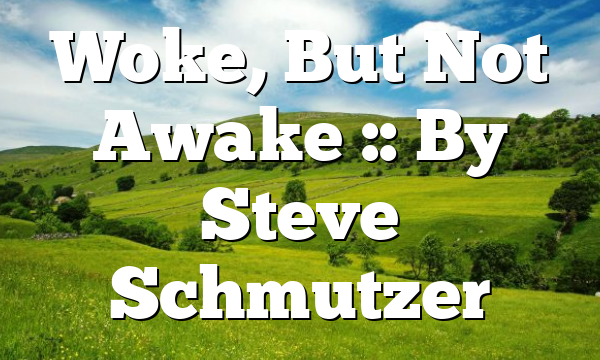 Woke, But Not Awake :: By Steve Schmutzer