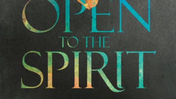 Scot McKnight: Open to the Spirit