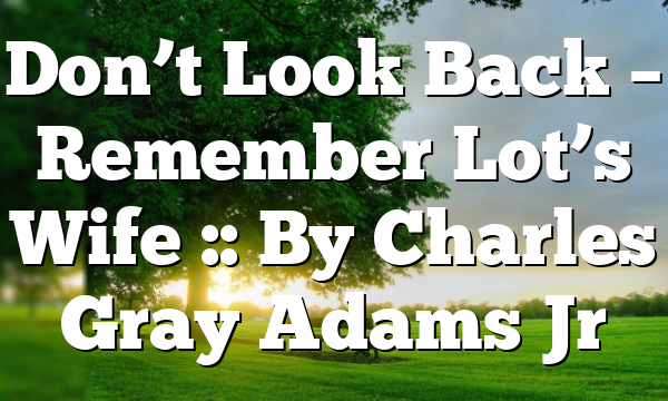 Don’t Look Back – Remember Lot’s Wife :: By Charles Gray Adams Jr