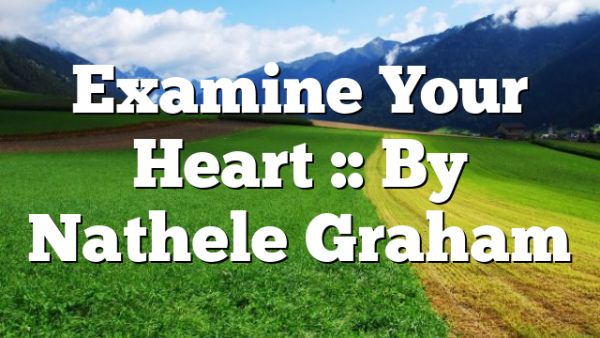 Examine Your Heart :: By Nathele Graham