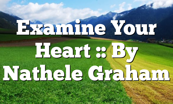 Examine Your Heart :: By Nathele Graham