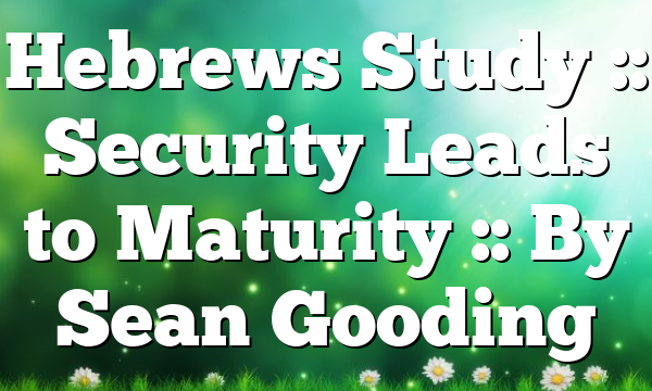 Hebrews Study :: Security Leads to Maturity :: By Sean Gooding