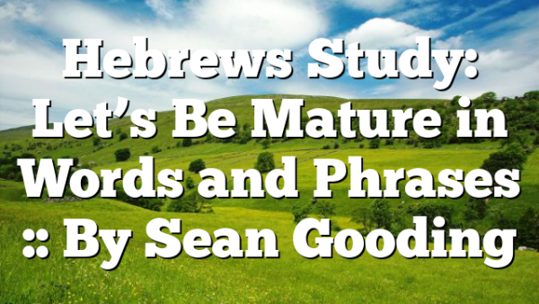 Hebrews Study: Let’s Be Mature in Words and Phrases :: By Sean Gooding