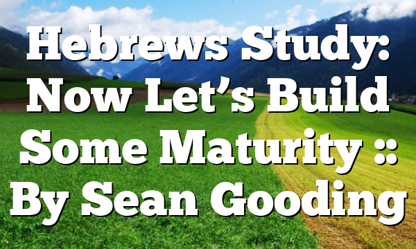 Hebrews Study: Now Let’s Build Some Maturity :: By Sean Gooding