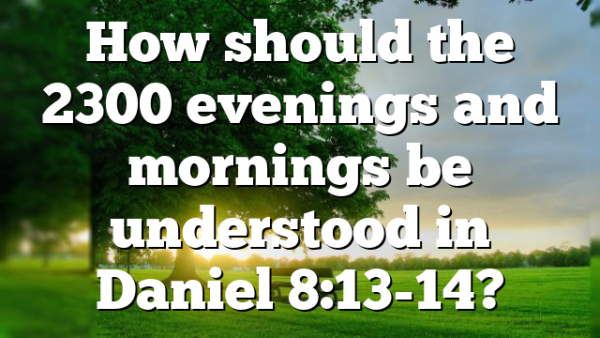 How should the 2300 evenings and mornings be understood in Daniel 8:13-14?