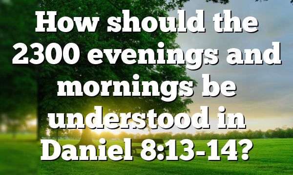 How should the 2300 evenings and mornings be understood in Daniel 8:13-14?