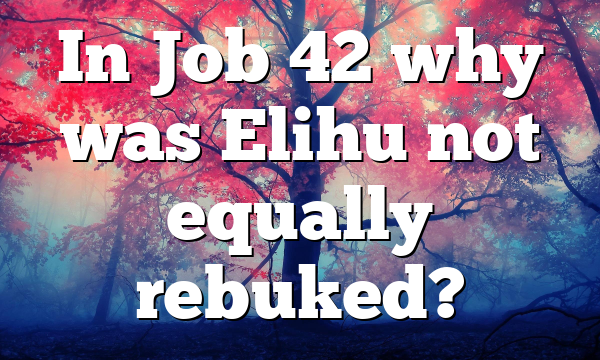 In Job 42 why was Elihu not equally rebuked?
