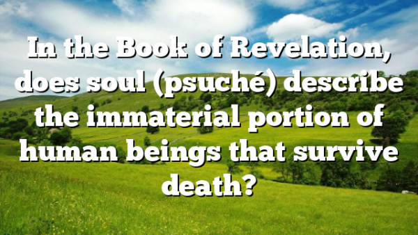In the Book of Revelation, does soul (psuché) describe the immaterial portion of human beings that survive death?