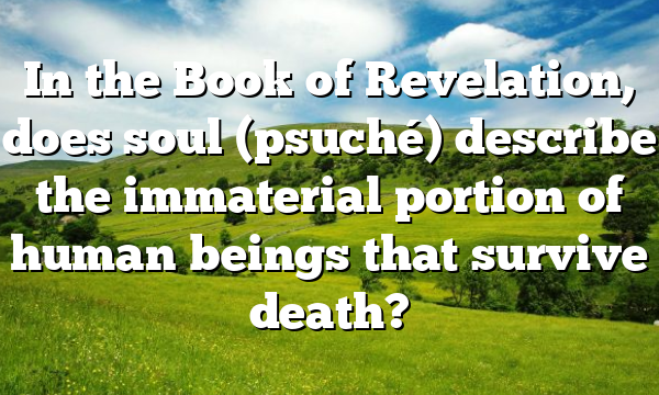 In the Book of Revelation, does soul (psuché) describe the immaterial portion of human beings that survive death?