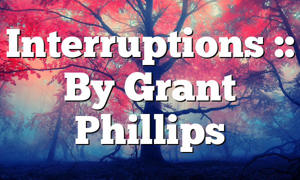Interruptions :: By Grant Phillips
