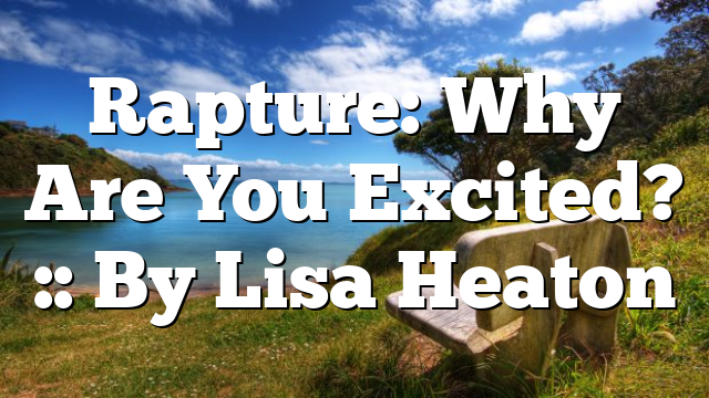 Rapture: Why Are You Excited? :: By Lisa Heaton