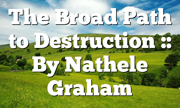The Broad Path to Destruction :: By Nathele Graham