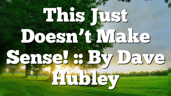 This Just Doesn’t Make Sense! :: By Dave Hubley