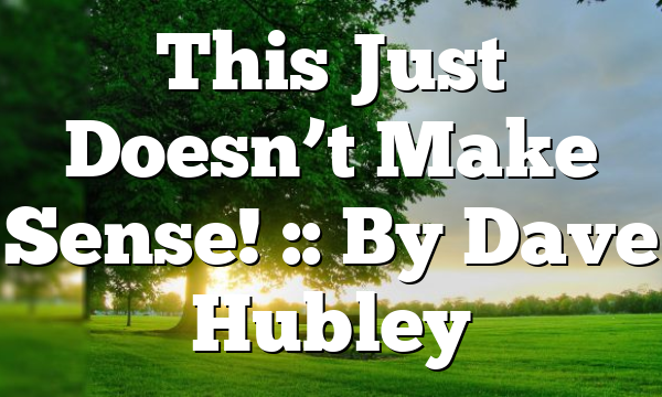 This Just Doesn’t Make Sense! :: By Dave Hubley