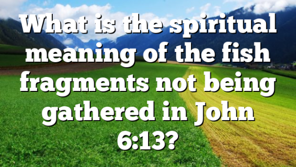 What is the spiritual meaning of the fish fragments not being gathered in John 6:13?