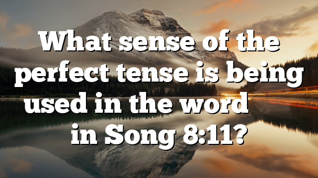 What sense of the perfect tense is being used in the word הָיָה in Song 8:11?