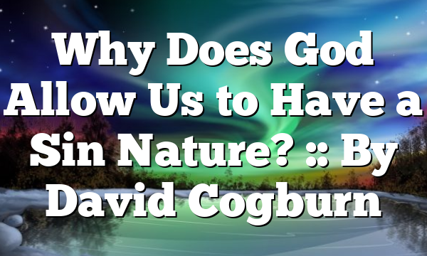 Why Does God Allow Us to Have a Sin Nature? :: By David Cogburn