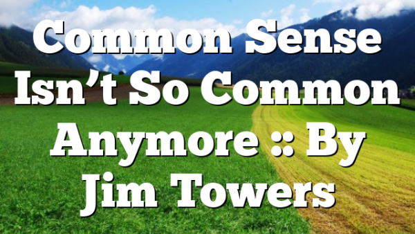 Common Sense Isn’t So Common Anymore :: By Jim Towers