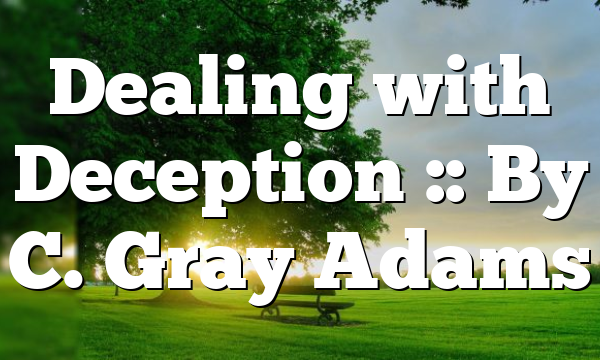 Dealing with Deception :: By C. Gray Adams