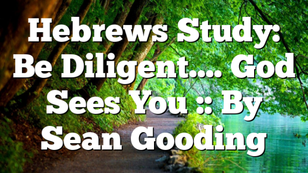 Hebrews Study: Be Diligent…. God Sees You :: By Sean Gooding