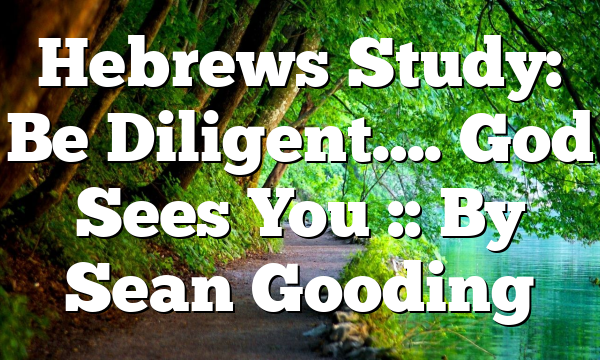 Hebrews Study: Be Diligent…. God Sees You :: By Sean Gooding