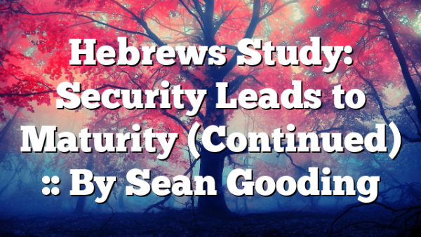 Hebrews Study: Security Leads to Maturity (Continued) :: By Sean Gooding