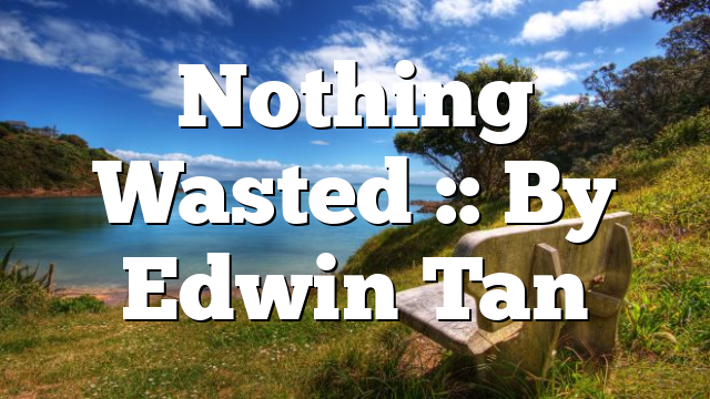 Nothing Wasted :: By Edwin Tan