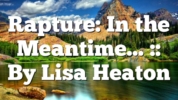 Rapture: In the Meantime… :: By Lisa Heaton