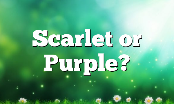 Scarlet or Purple?