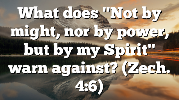 What does "Not by might, nor by power, but by my Spirit" warn against? (Zech. 4:6)