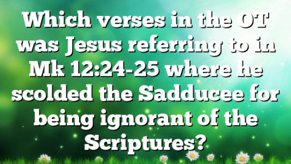 Which verses in the OT was Jesus referring to in Mk 12:24-25 where he scolded the Sadducee for being ignorant of the Scriptures?