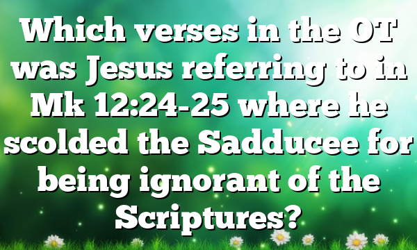 Which verses in the OT was Jesus referring to in Mk 12:24-25 where he scolded the Sadducee for being ignorant of the Scriptures?