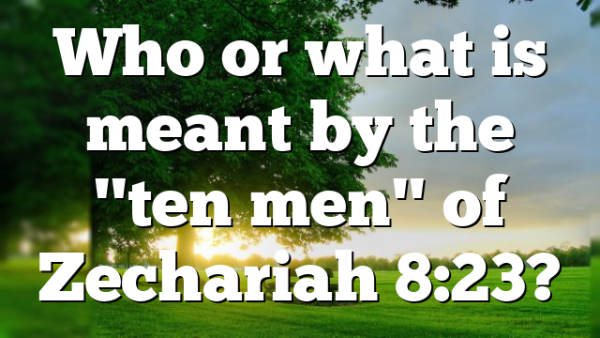 Who or what is meant by the "ten men" of Zechariah 8:23?