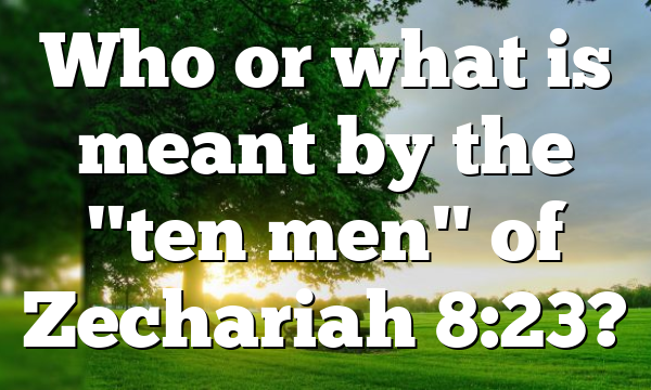 Who or what is meant by the "ten men" of Zechariah 8:23?