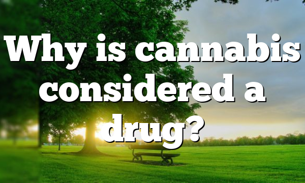 Why is cannabis considered a drug?