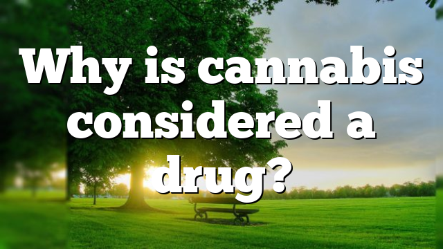 Why is cannabis considered a drug?