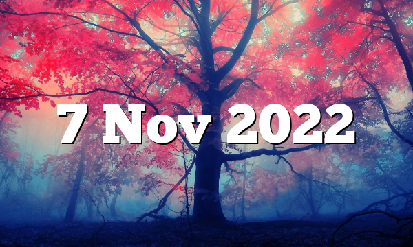 7 Nov 2022