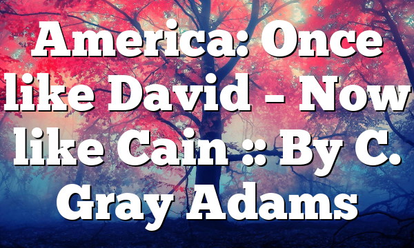 America: Once like David – Now like Cain :: By C. Gray Adams