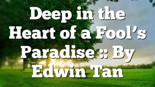 Deep in the Heart of a Fool’s Paradise :: By Edwin Tan