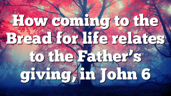 How coming to the Bread for life relates to the Father’s giving, in John 6