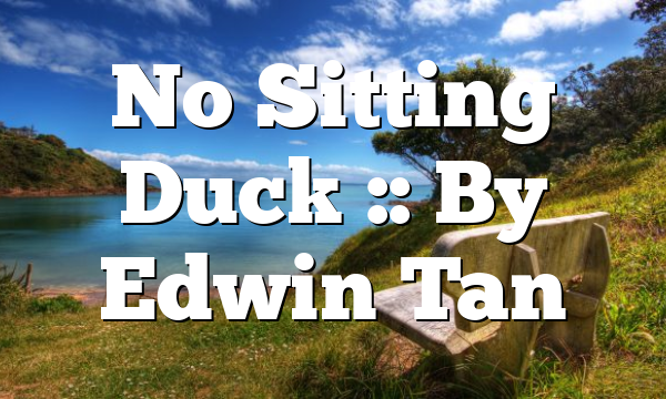 No Sitting Duck :: By Edwin Tan
