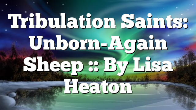 Tribulation Saints: Unborn-Again Sheep :: By Lisa Heaton