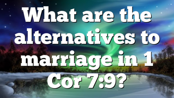 What are the alternatives to marriage in 1 Cor 7:9?