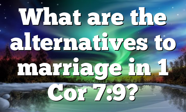 What are the alternatives to marriage in 1 Cor 7:9?