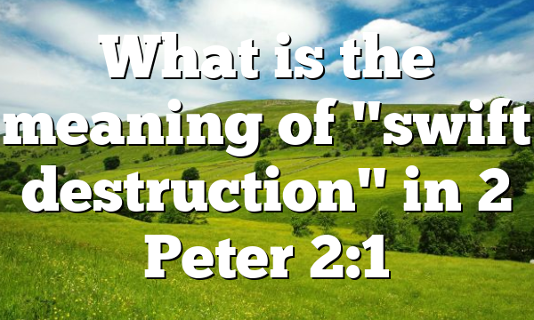 What is the meaning of "swift destruction" in 2 Peter 2:1