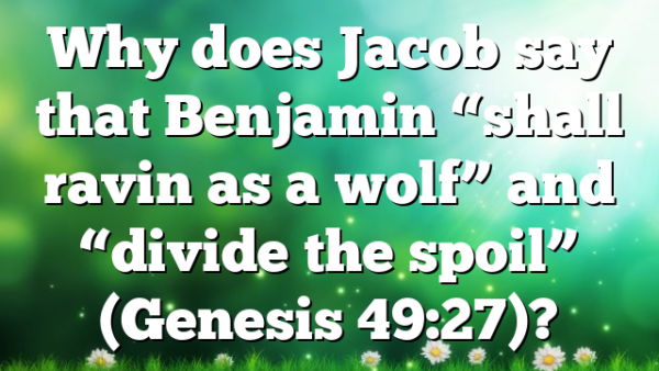Why does Jacob say that Benjamin “shall ravin as a wolf” and “divide the spoil” (Genesis 49:27)?